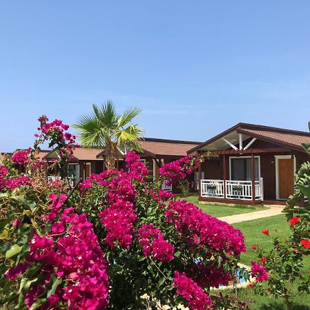 Sedir Park - Beach Bungalow Kargıcak Extérieur photo