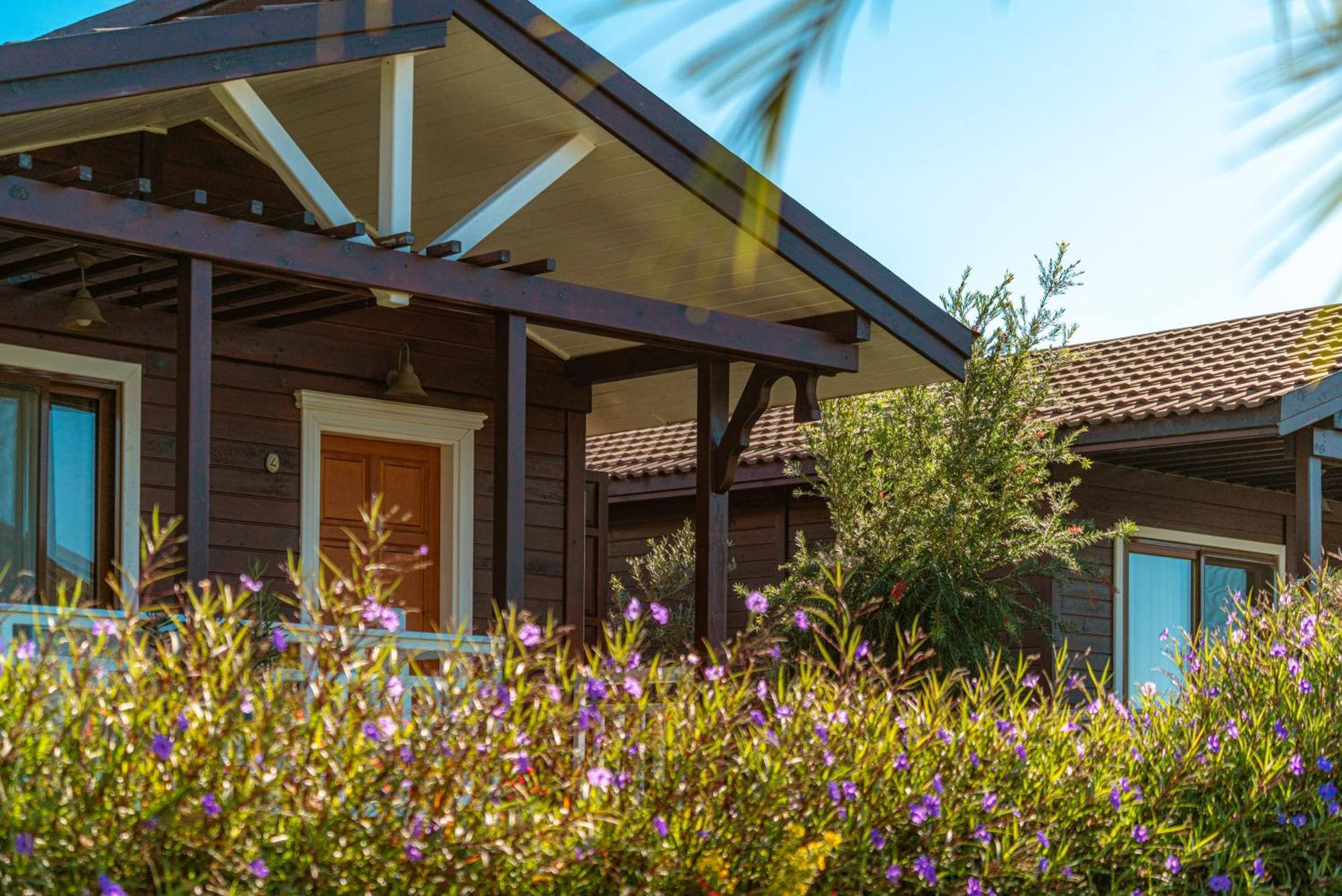 Sedir Park - Beach Bungalow Kargıcak Extérieur photo