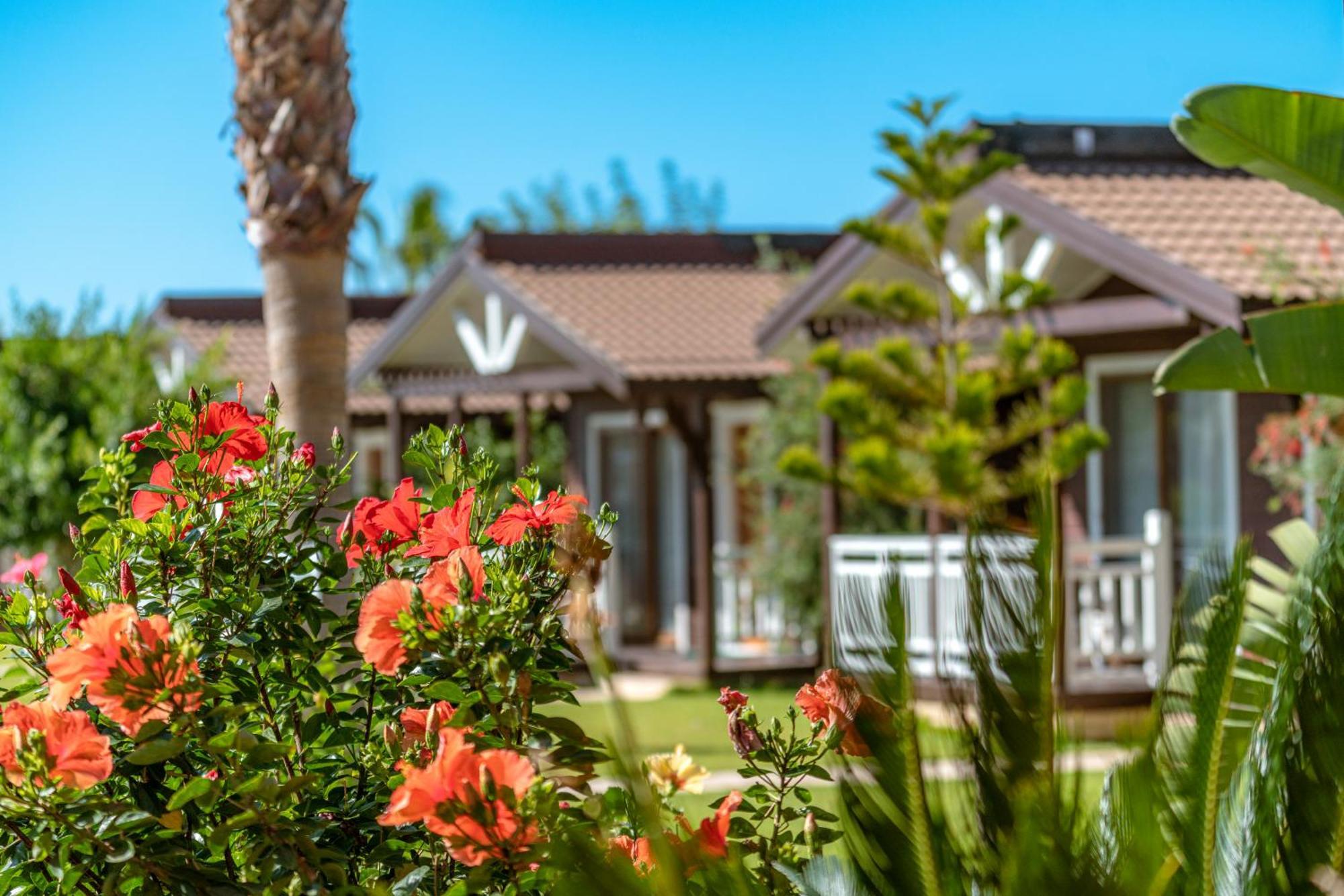 Sedir Park - Beach Bungalow Kargıcak Extérieur photo