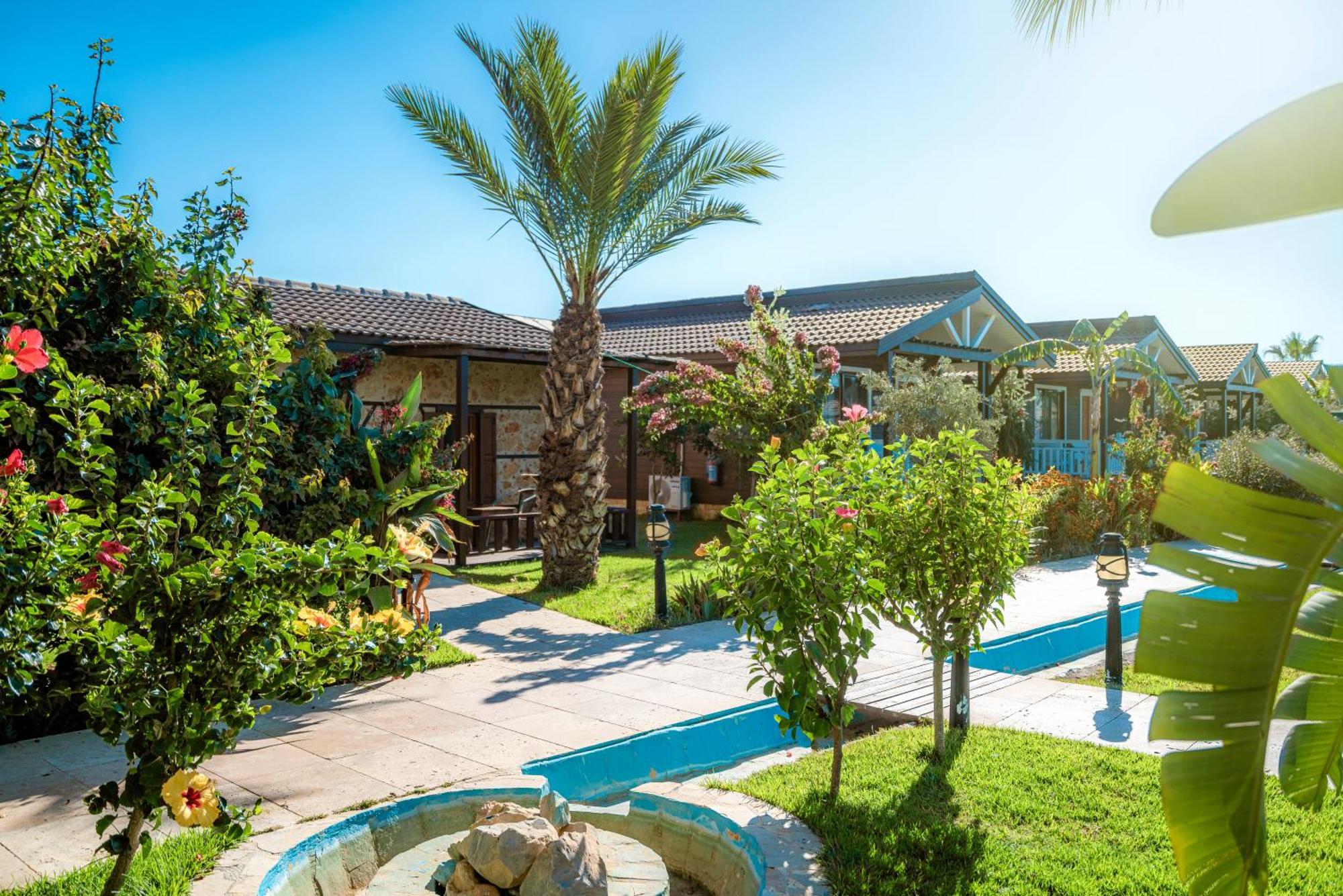 Sedir Park - Beach Bungalow Kargıcak Extérieur photo