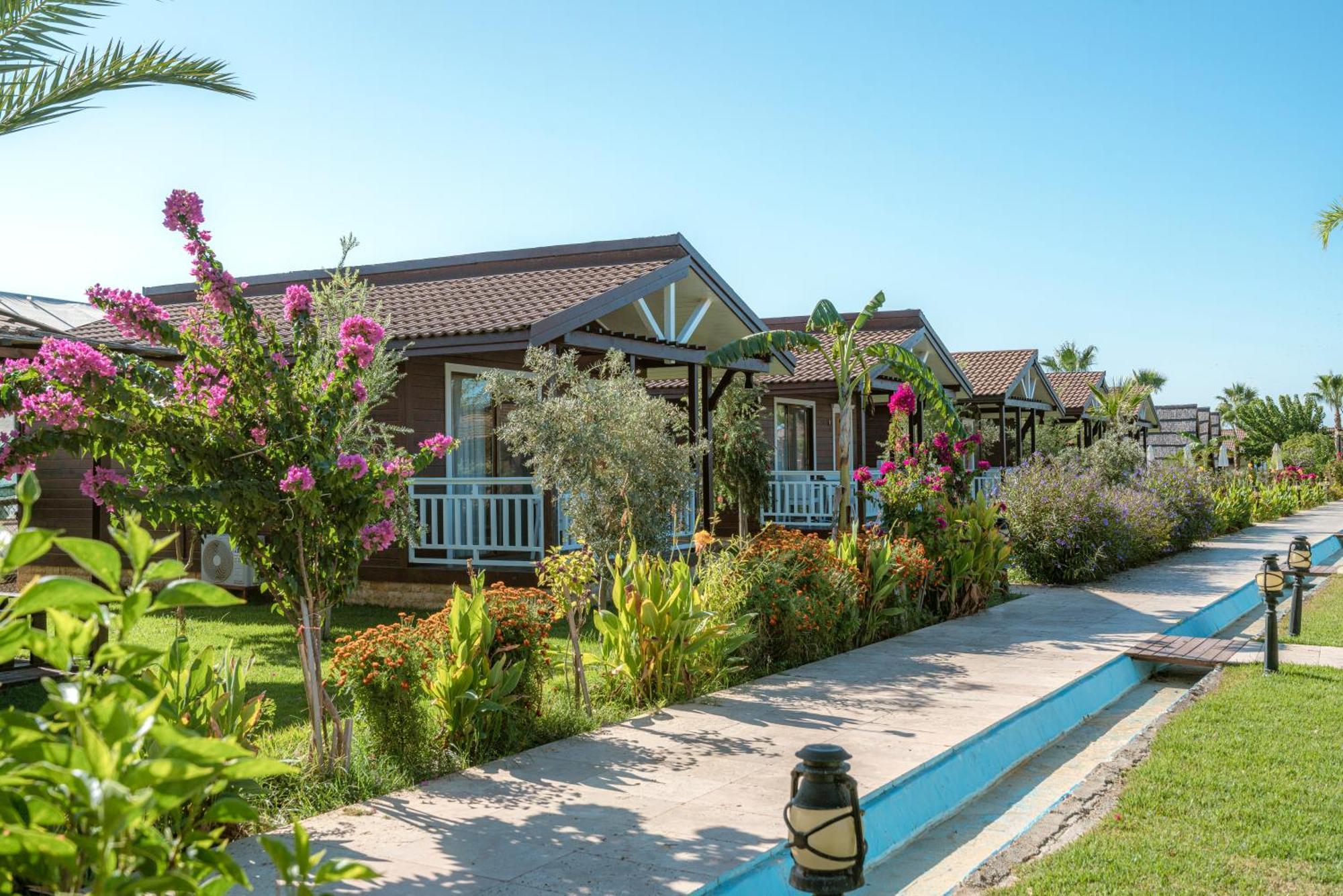 Sedir Park - Beach Bungalow Kargıcak Extérieur photo