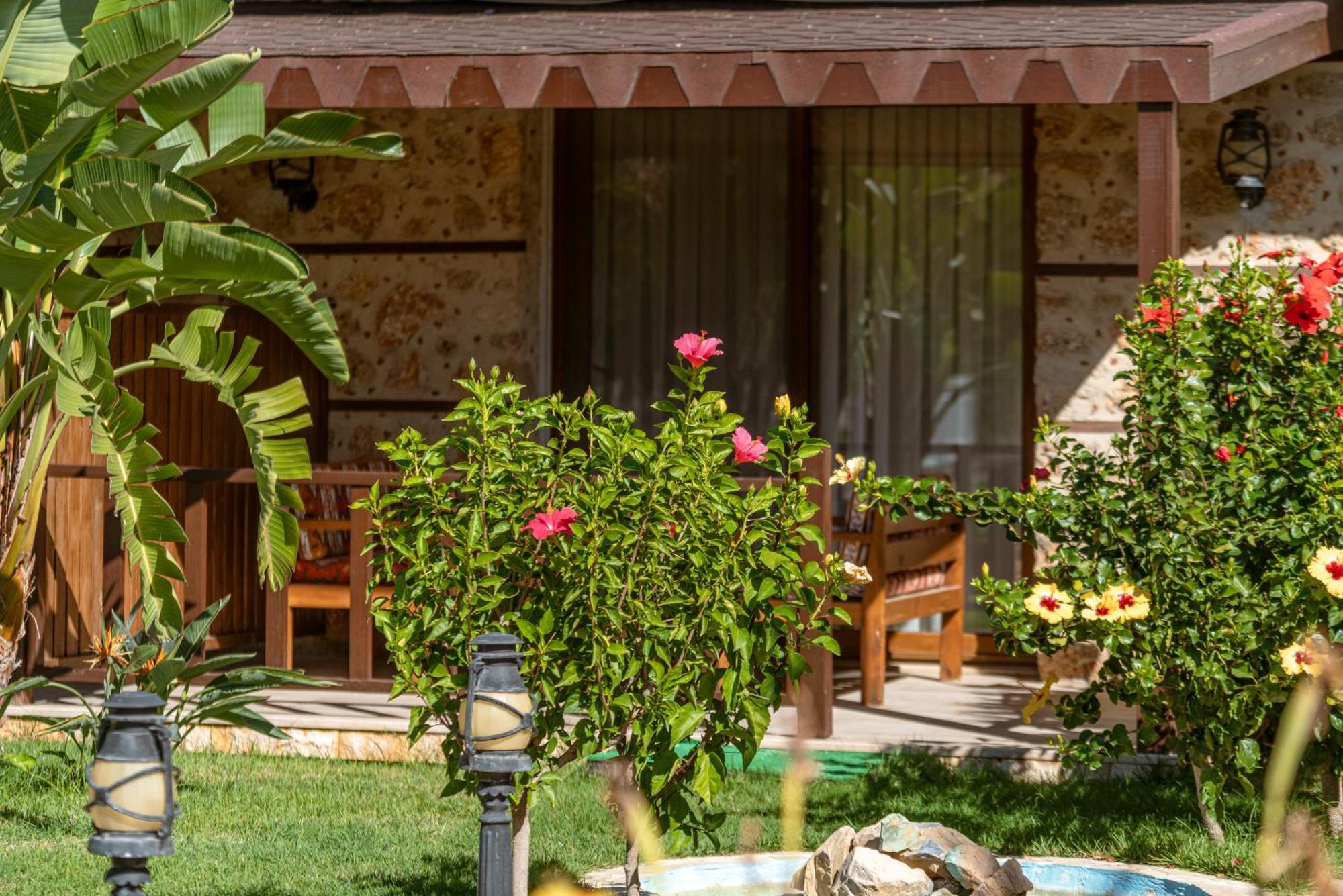 Sedir Park - Beach Bungalow Kargıcak Extérieur photo