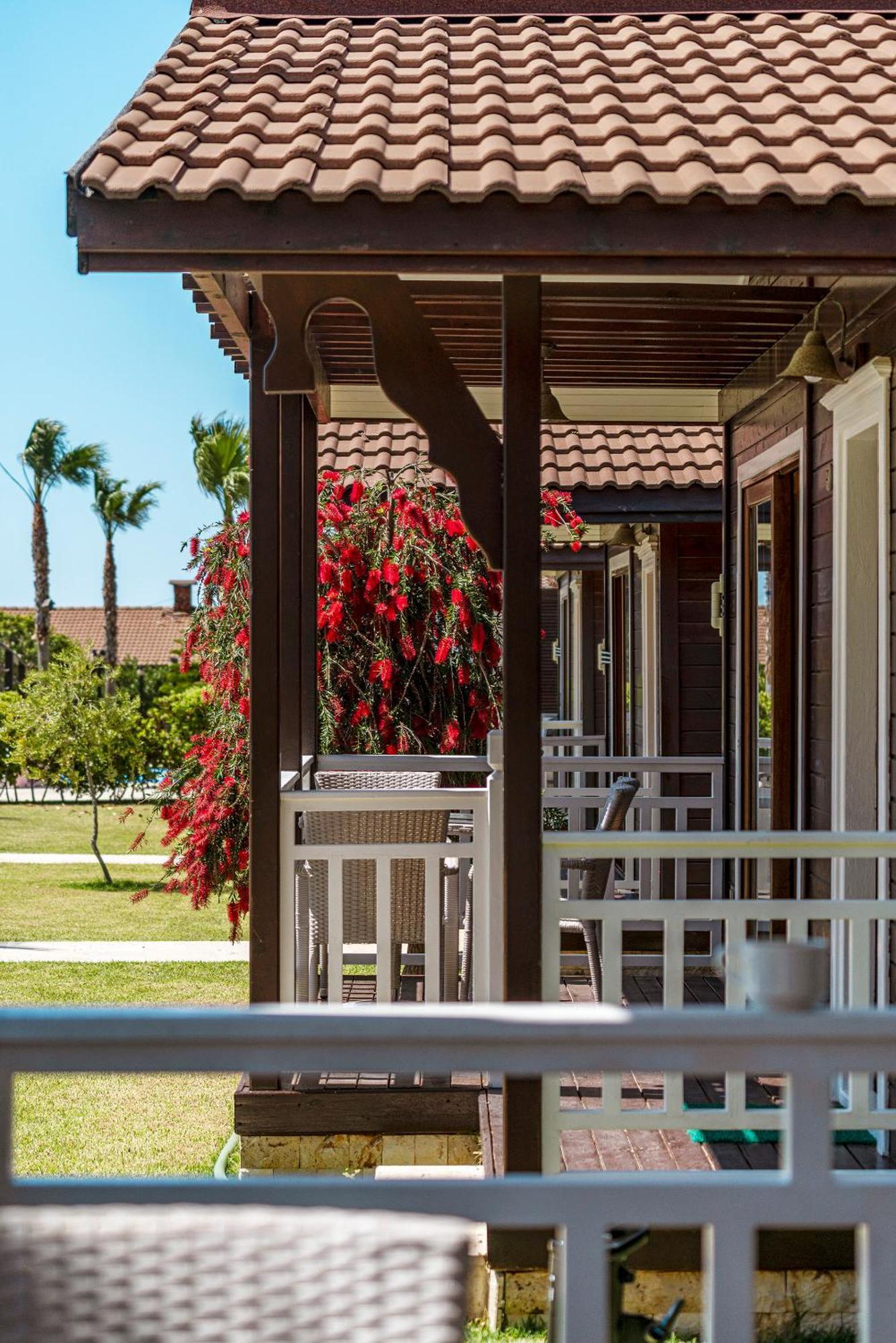 Sedir Park - Beach Bungalow Kargıcak Extérieur photo