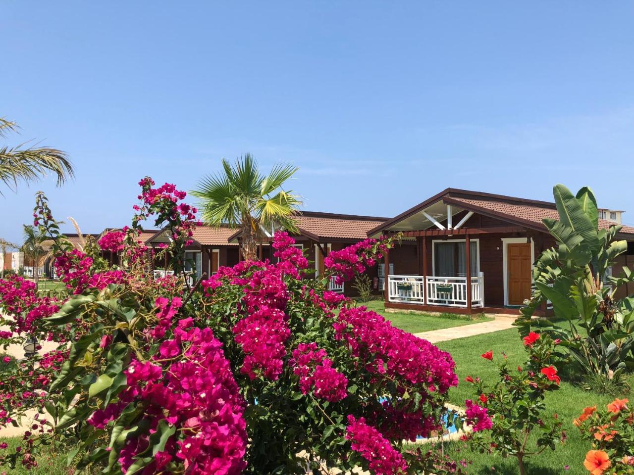 Sedir Park - Beach Bungalow Kargıcak Extérieur photo